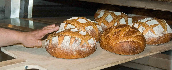 Bakery Oven, Fresh Baked Loaves of Bread